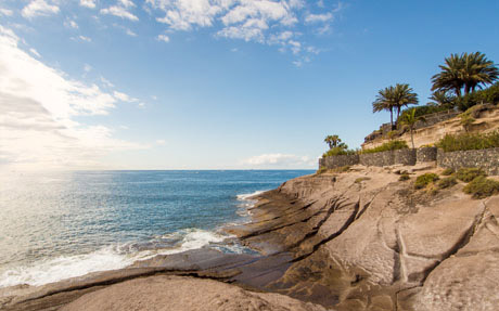 „Faszination Ayurveda“ Ayurveda-Seminarreise Teneriffa