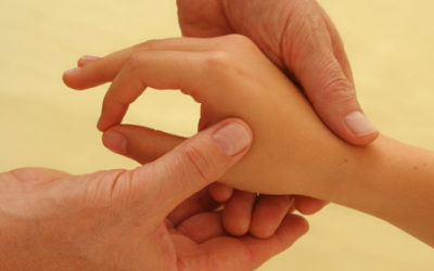 Profi-Kurse Marmatherapeut mit Zertifikat der Deutschen Ayurveda Akademie