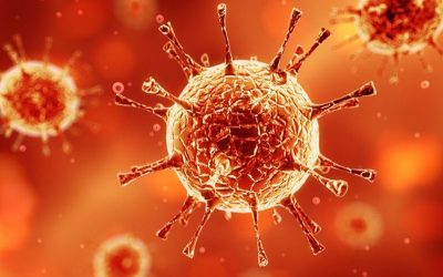 Ayurveda & Virus-Erkrankungen