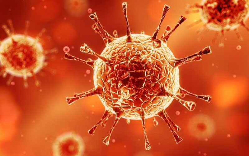 Ayurveda & Virus-Erkrankungen
