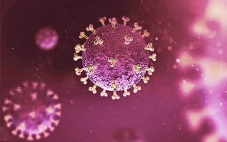Online-Seminar „Corona: Wie stärke ich mein Immunsystem?“