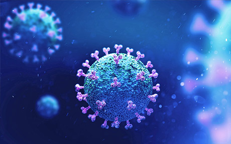Ärzte-Webinar „Infekte und Allergien“