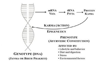 Ayurveda und Epigenetik: