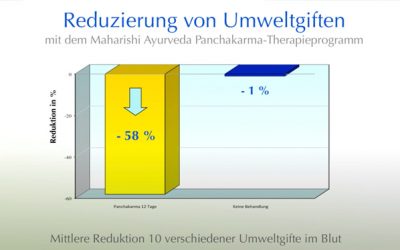 Umweltgifte im Blut