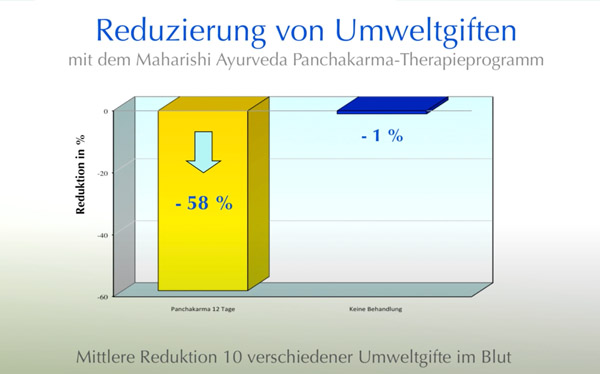 Umweltgifte im Blut