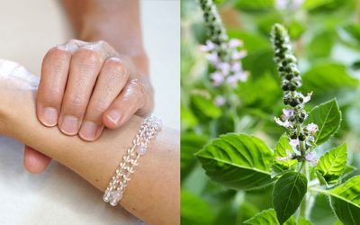 Ärzte-Ausbildungskurs in Maharishi Ayurveda Puls­­dia­gnose und Phyto­therapie