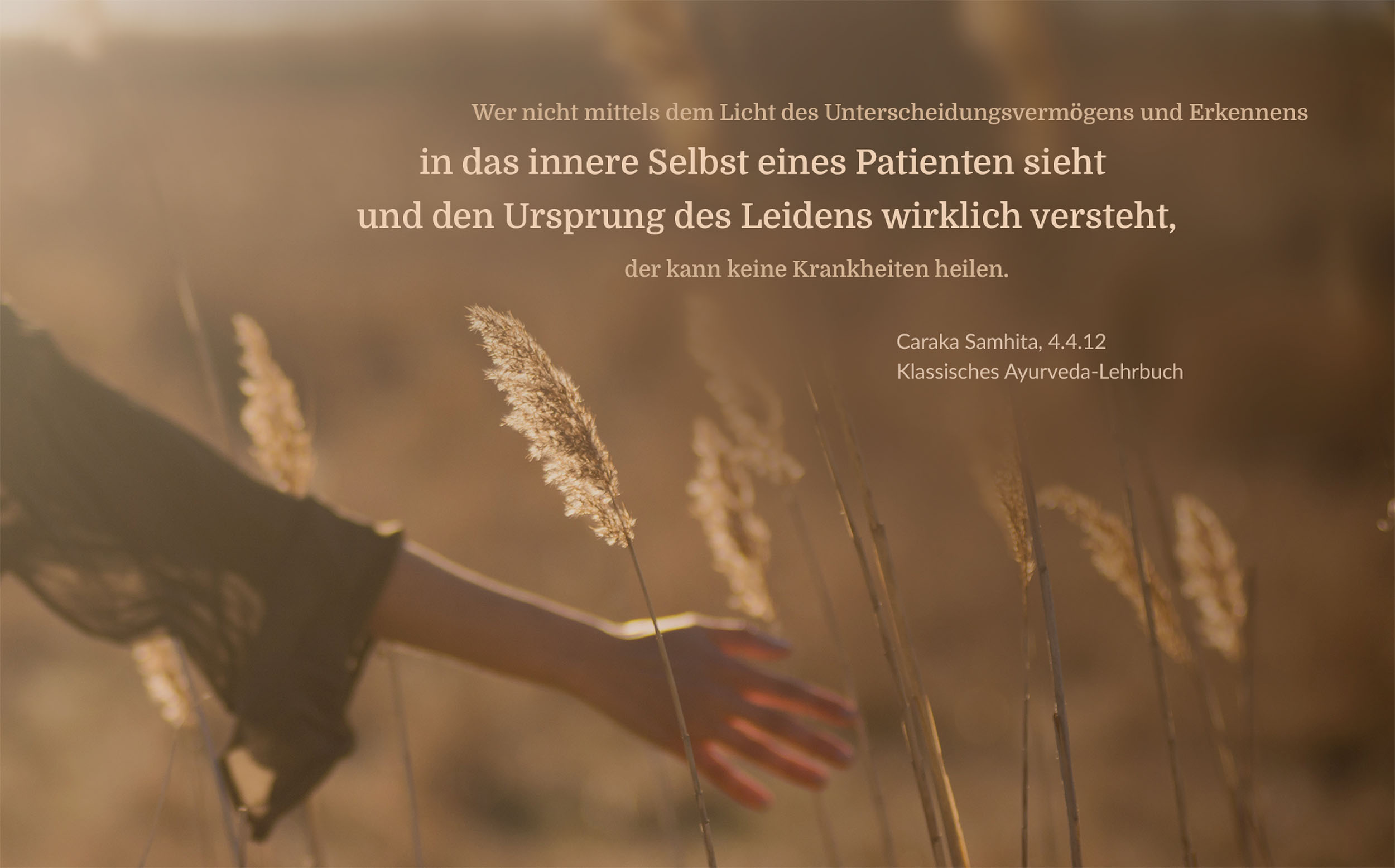 Ayurveda-Leistungen als Arzt/Ärztin privat abrechnen