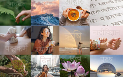 Online-Kurs über die Original-Schriften des Ayurveda