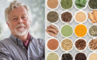 Ayurvedische Heilpflanzen wissenschaftlich betrachtet