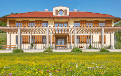 Save the Date: Ayurveda-Kongress der DGA 2025