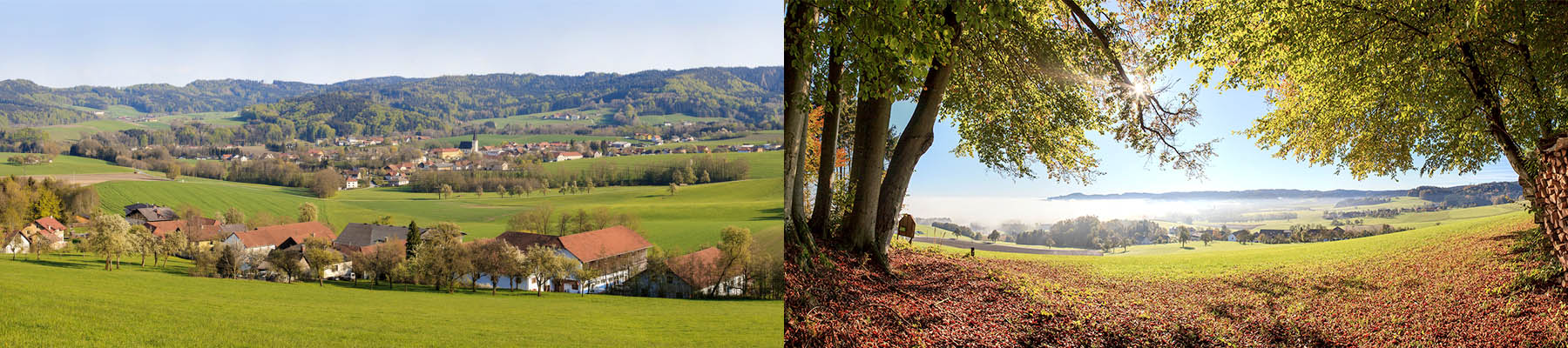 Umgebung
